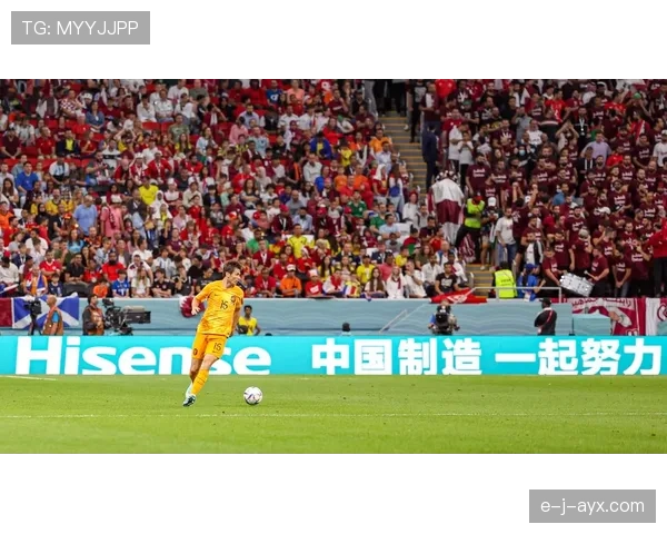 德国球场点燃欧洲杯战火,激情与荣耀赛季盛大启幕 德国球场点燃欧洲杯战火,激情与荣耀赛季盛大启幕