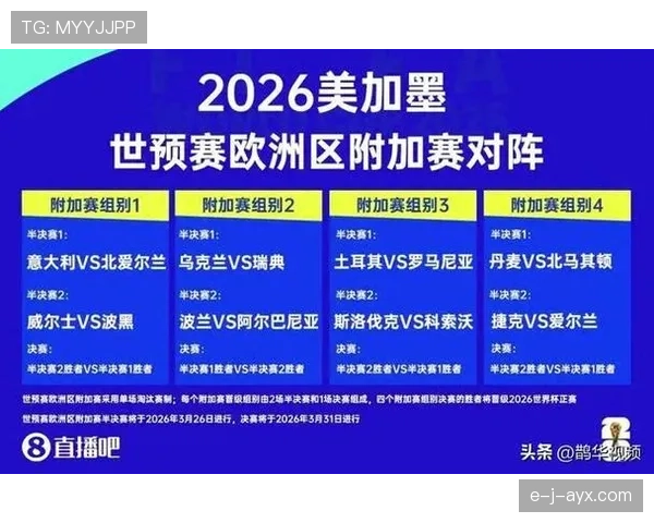 波黑队能否重返2026世界杯舞台？晋级前景与阵容分析